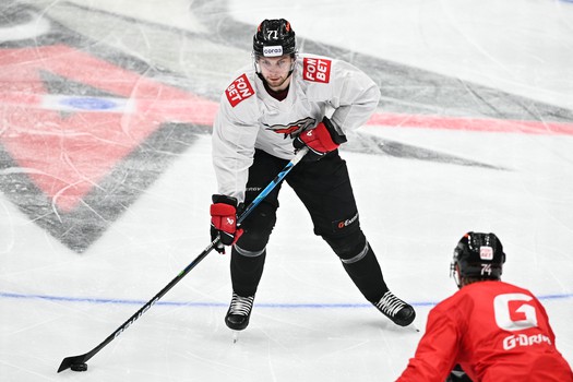 Двусторонка «Авангарда»