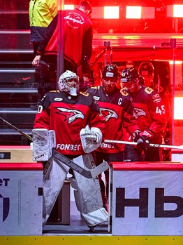 20.02.2024. «Авангард» - «Автомобилист» 4:2