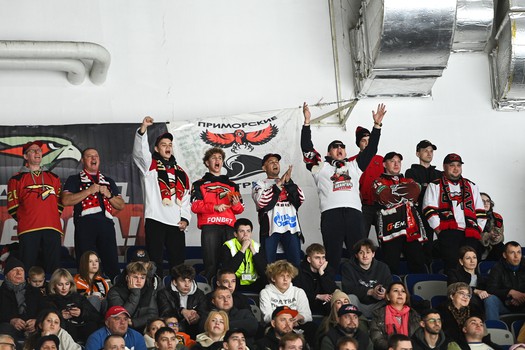 05.11.2025. «Амур» - «Авангард» 3:2 ОТ