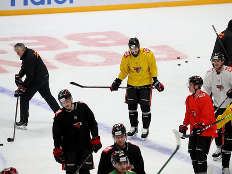 Максим Гончаров вернулся в «Авангард»