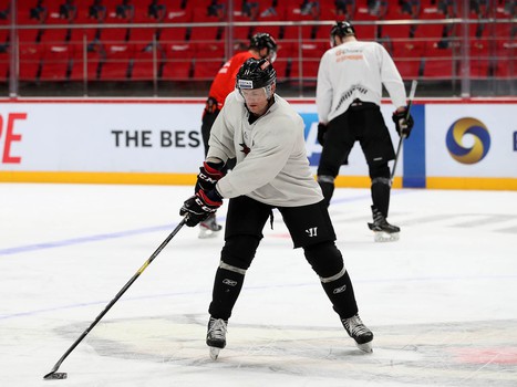 Раскатка «Авангарда» перед матчем с «Витязем»