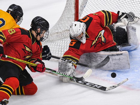 Четвертьфиналы Первенства ЮХЛ в Омске