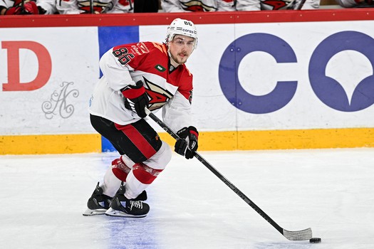 03.01.2023. «Автомобилист» - «Авангард» 1:7