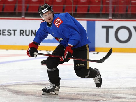 Раскатка «Авангарда» перед матчем с «Витязем»