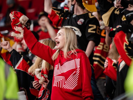 «Авангард» - «Динамо» 1:3. Вокруг матча