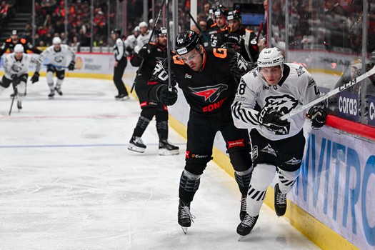 29.01.2026. «Авангард» - «Трактор» 1:0