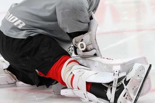 Раскатка «Авангарда» перед матчем с «Сибирью»