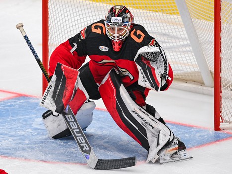 26.02.2025. «Авангард» - «Витязь» 4:3 ОТ