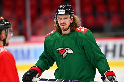 Раскатка «Авангарда» перед матчем с «Салаватом Юлаевым»