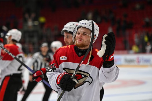 20.03.2025. «Витязь» - «Авангард» 2:3 ОТ