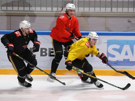 Тренировка «Авангарда» перед матчем во Владивостоке