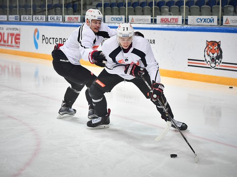 "Авангард" готовится к битве с амурскими "тиграми"