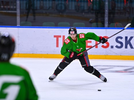 Раскатка «Авангарда» перед матчем с «Сибирью»