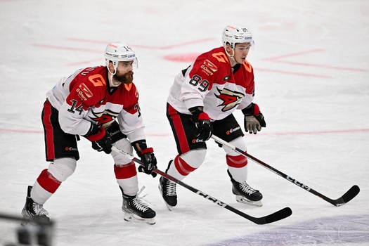 06.11.2023. «Динамо» Мн - «Авангард» 3:4 Б