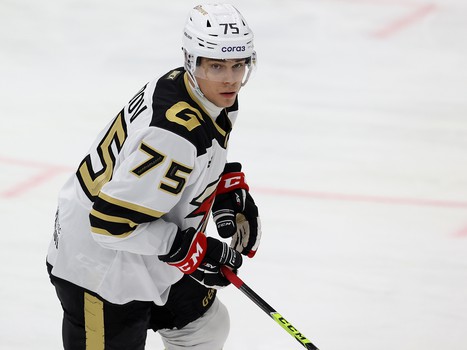 26.11.2021. «Сибирь» - «Авангард» 5:4