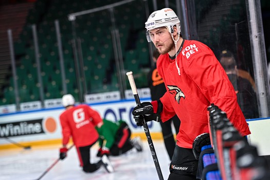 Раскатка «Авангарда» перед вторым матчем финала Востока с «Ак Барсом»