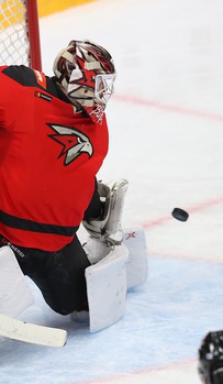 19.12.2019. «Авангард» - «Сибирь» 3:1