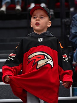 «Авангард» - «Локомотив» 2:0. Вокруг матча