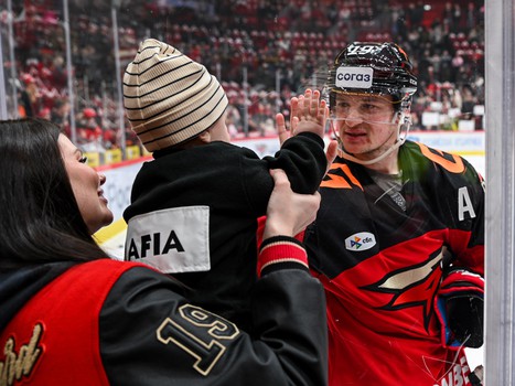 «Авангард» - «Торпедо» 4:3. Вокруг матча
