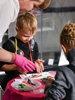 «Авангард» - «Амур» 3:1. Вокруг матча