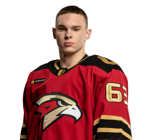 Мирошниченко Иван