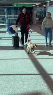 раз летим в минск, то для игоря мартынова полёт автоматически становится семейным 🐶