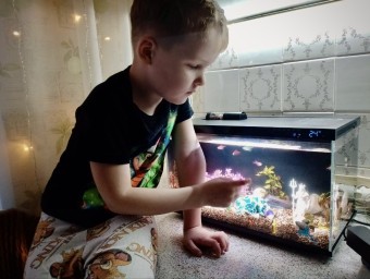 Иллюстрация новости