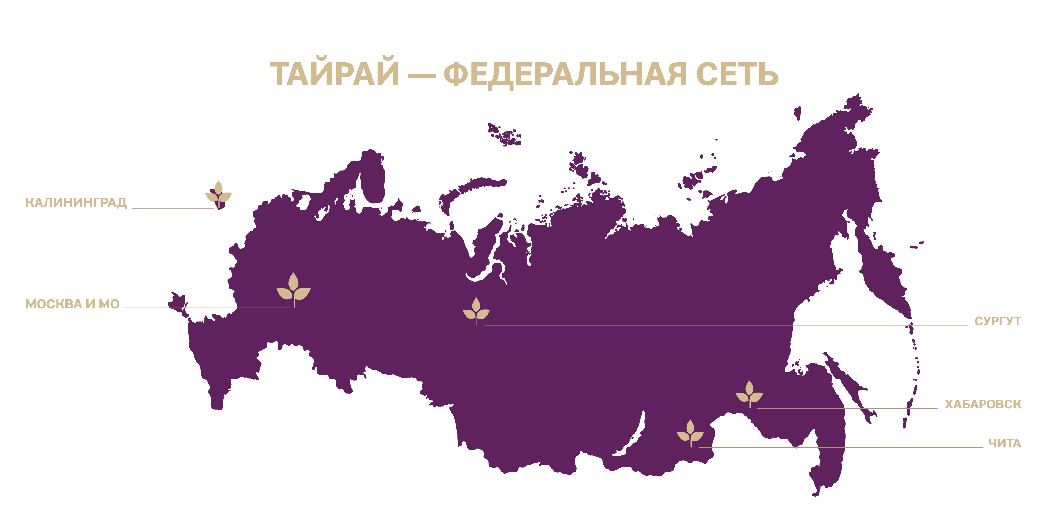 Картинка карты России с городами где есть салоны