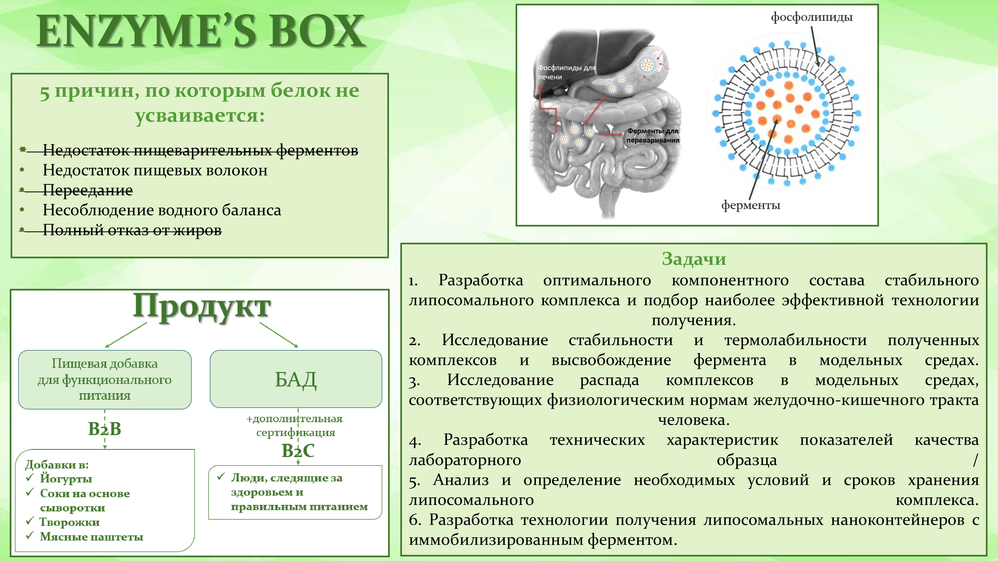 Классы белки ферменты