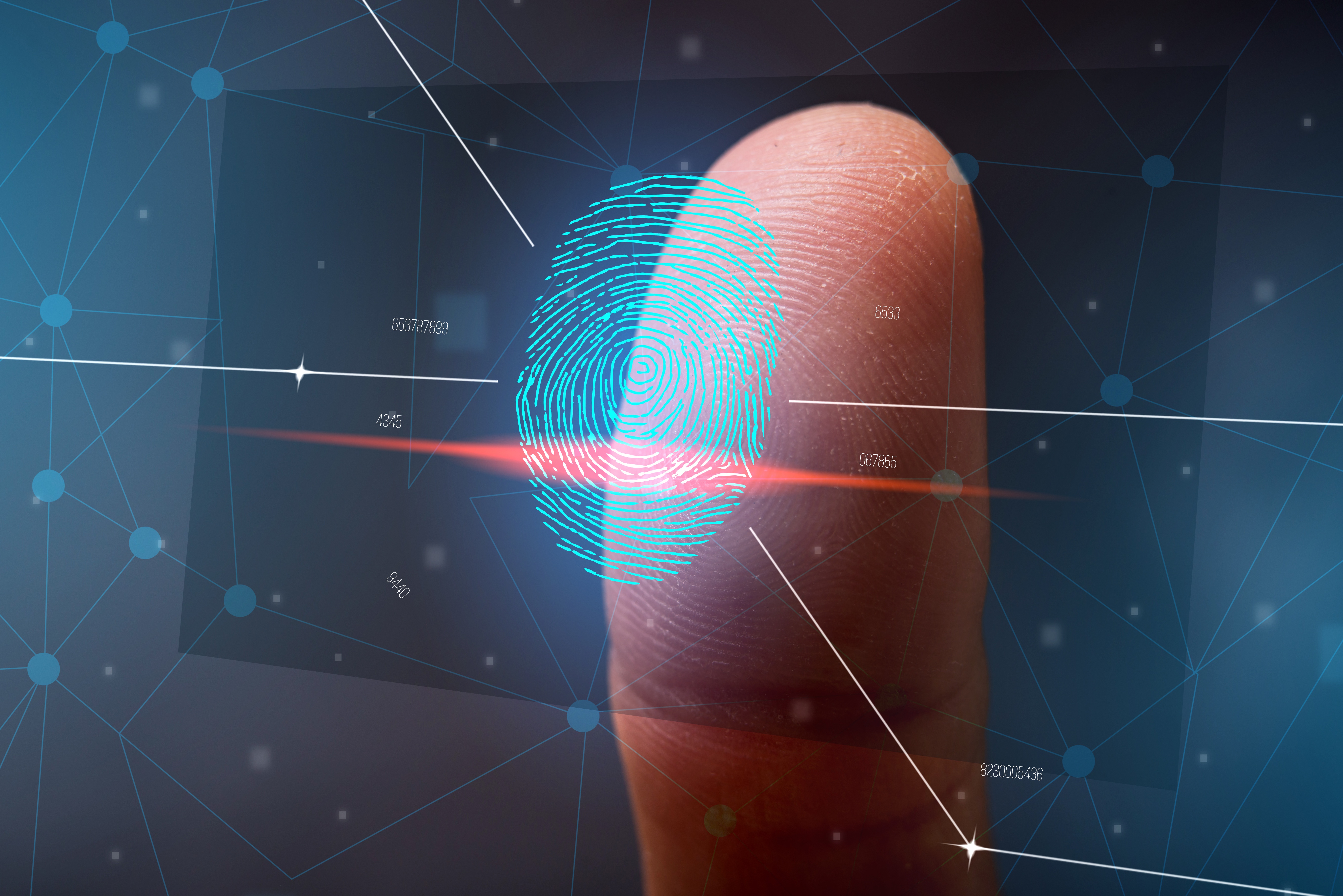 Сбор цифровых следов. Биометрические технологии. Идентификация по отпечаткам пальцев. Плиометрические данные. Цифровой отпечаток пальца.