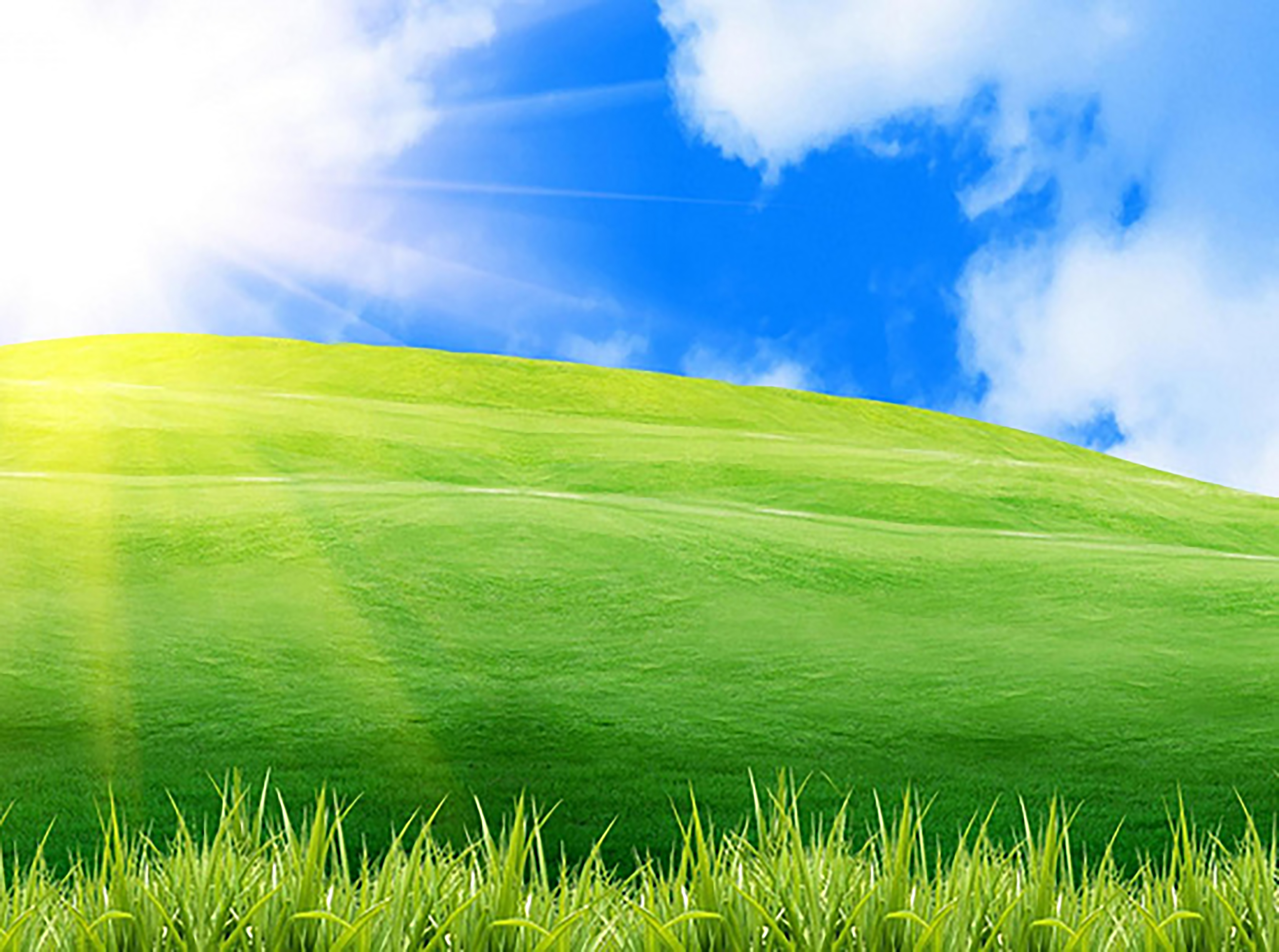 Яркий холм. Зеленое поле. Природа трава. Трава фон. Трава и небо.